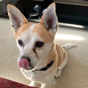 Meet your Posher, Vanessa